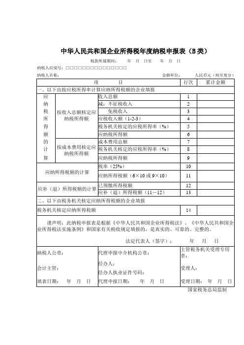 所得税年度申报表B类