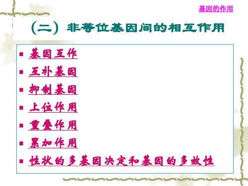 第二章孟德尔式遗传分析(四)