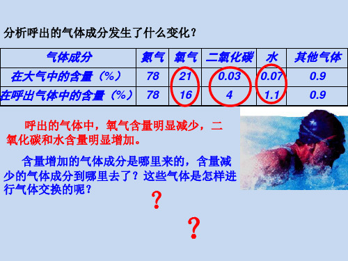 4.3.2 发生在肺内的气体交换 课件(第一、二课时)