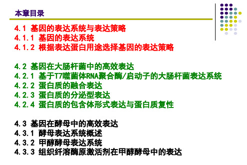 基因在大肠杆菌和酵母的高效表达