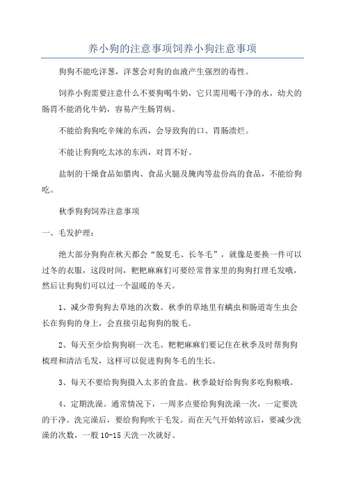 养小狗的注意事项饲养小狗注意事项