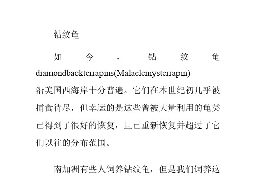 一份很详细的钻纹龟概述