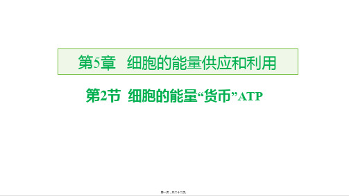 新教材人教版高中生物必修一 5-2 细胞的能量“货币”ATP 教学课件