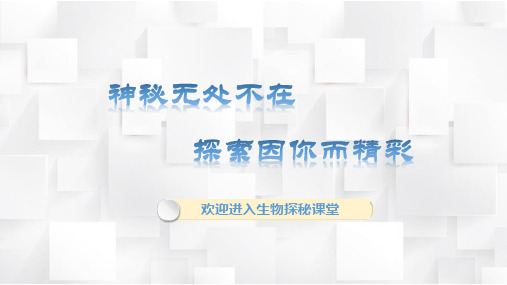 细胞的分裂与分化教学课件济南版七年级生物上册