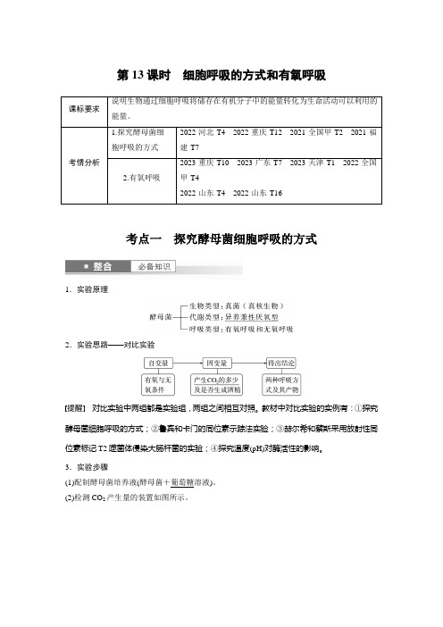 第三单元 第13课时 细胞呼吸的方式和有氧呼吸-2025年高考生物大一轮复习资料