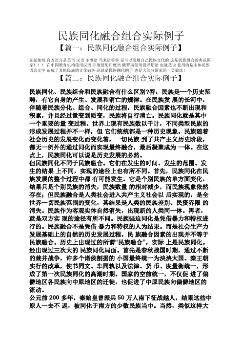 民族同化融合组合实际例子