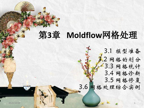 Moldflow网格处理