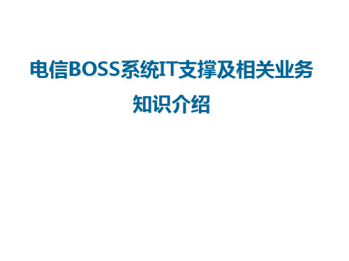 电信IT支撑系统及相关业务介绍