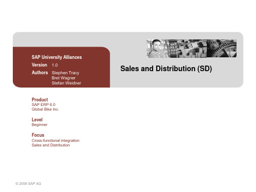 demo SAP-SD-模块介绍
