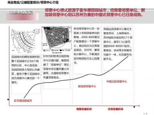 邻里中心部分分析_33p_专题研究报告[优质PPT]