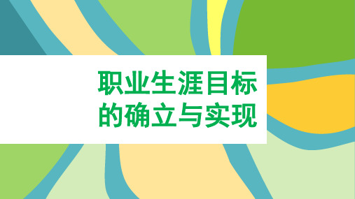 大学生职业生涯发展规划：职业生涯目标的确立与实现