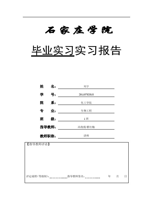 今麦郎方便面厂实习报告