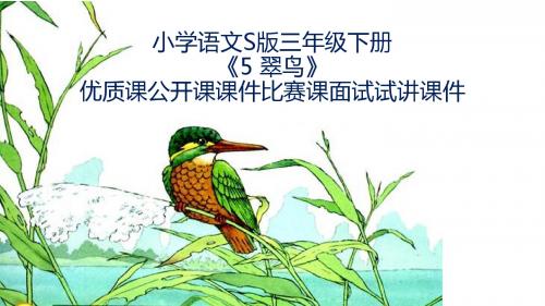 小学语文S版三年级下册《5 翠鸟》优质课公开课课件比赛课面试试讲课件