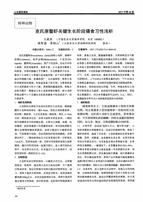 克氏原螯虾关键生长阶段摄食习性浅析