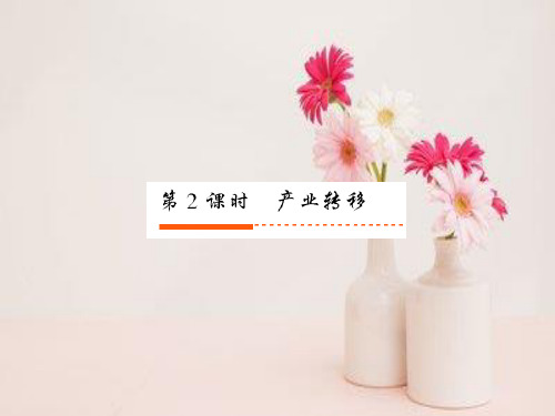 产业转移PPT教学课件