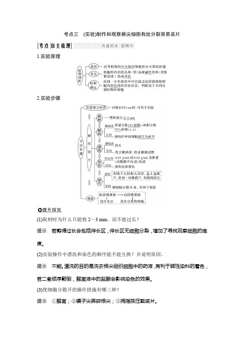 考点三 (实验)制作和观察根尖细胞有丝分裂简易装片