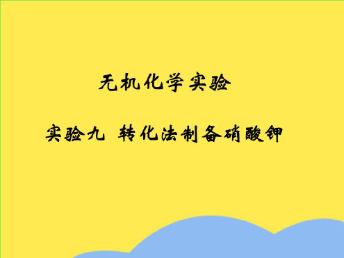 无机化学实验 实验十 转化法制备硝酸钾(“硝酸钾”相关文档)共10张