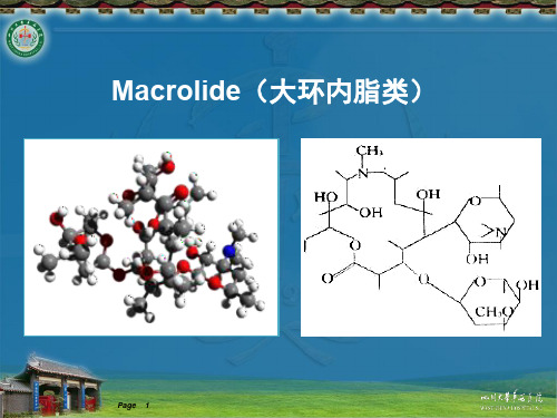 大环内脂类药物的临床应用进展