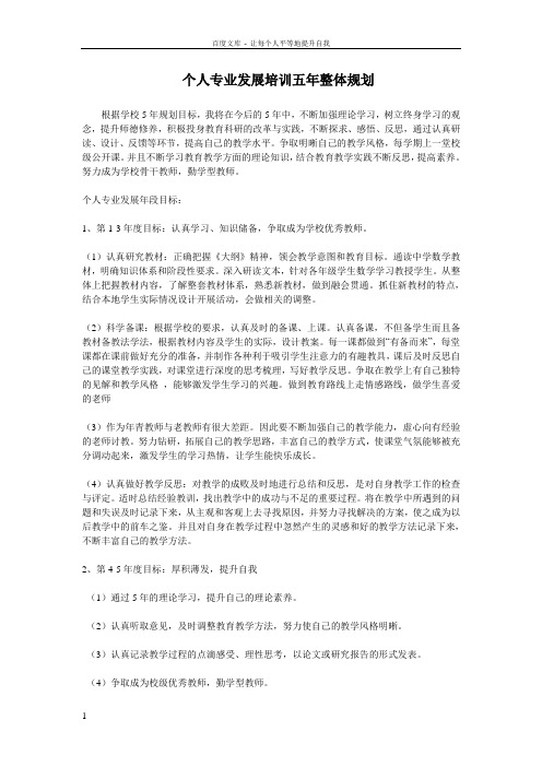 个人专业发展培训五年整体规划