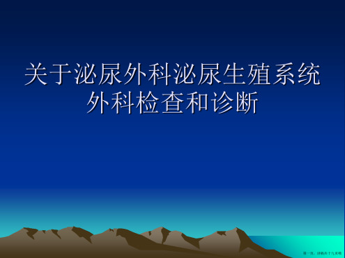 泌尿外科泌尿生殖系统外科检查和诊断