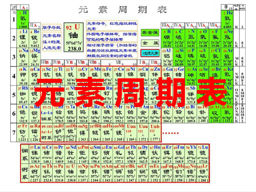 高一化学 元素周期表 新课标 人教版