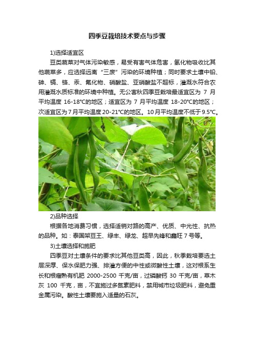 四季豆栽培技术要点与步骤