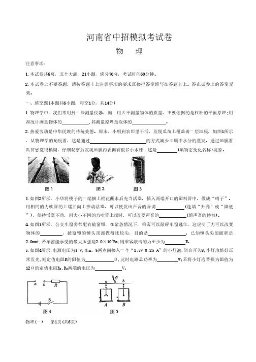 2023年河南省中招模拟考试卷物理