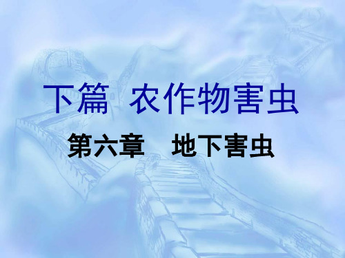 第六章 地下害虫  农业昆虫学教学课件