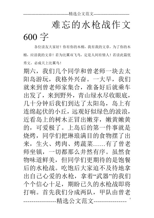 难忘的水枪战作文600字