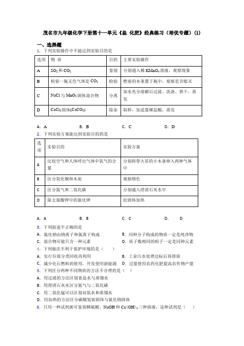 茂名市九年级化学下册第十一单元《盐 化肥》经典练习(培优专题)(1)