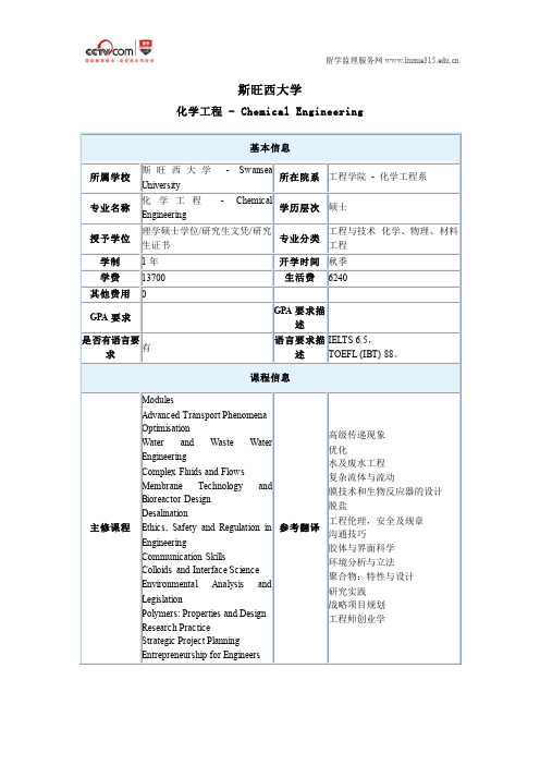 斯旺西大学化学工程