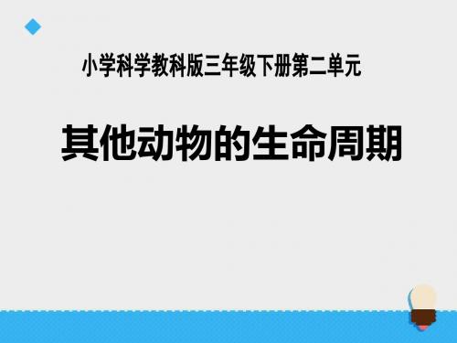 《其他动物的生命周期》动物的生命周期PPT教学课件