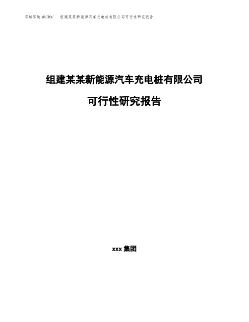 组建某某新能源汽车充电桩有限公司可行性研究报告