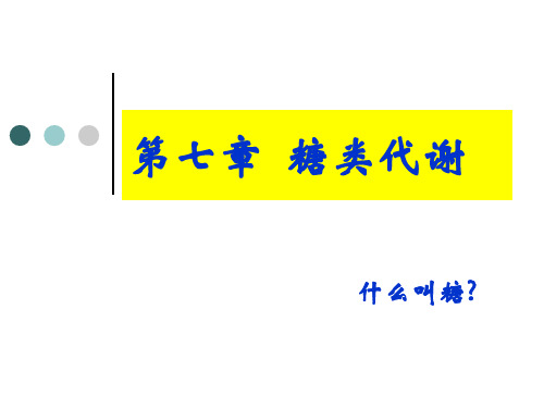 糖类代谢1——生物化学课件PPT