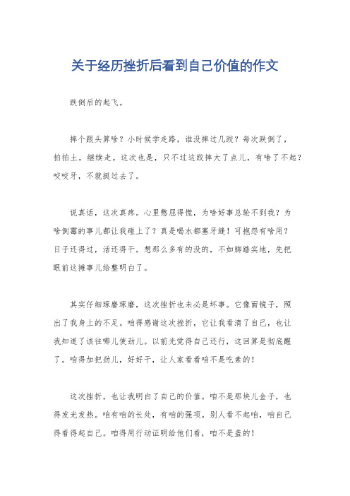 关于经历挫折后看到自己价值的作文