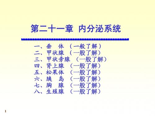 人体系统解剖教程24-内分泌系统