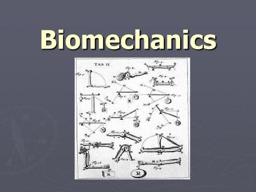 生物力学 中英文