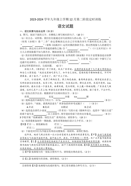 安徽省六安市轻工中学2023-2024学年九年级上学期12月月考语文试题(含答案)