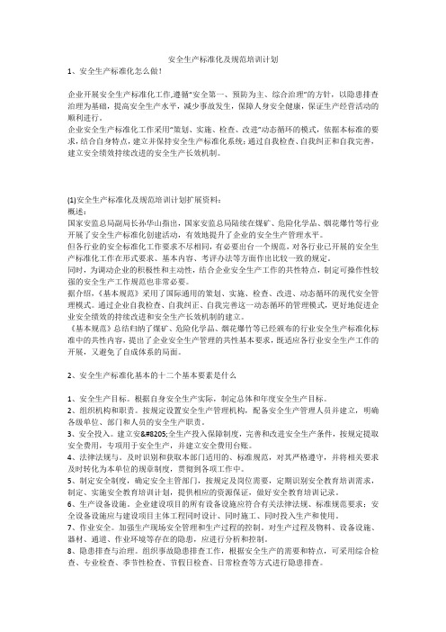 安全生产标准化及规范培训计划安全生产