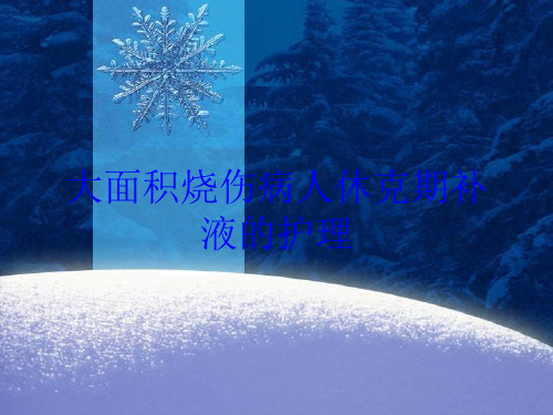 大面积烧伤病人休克期补液的护理培训课件