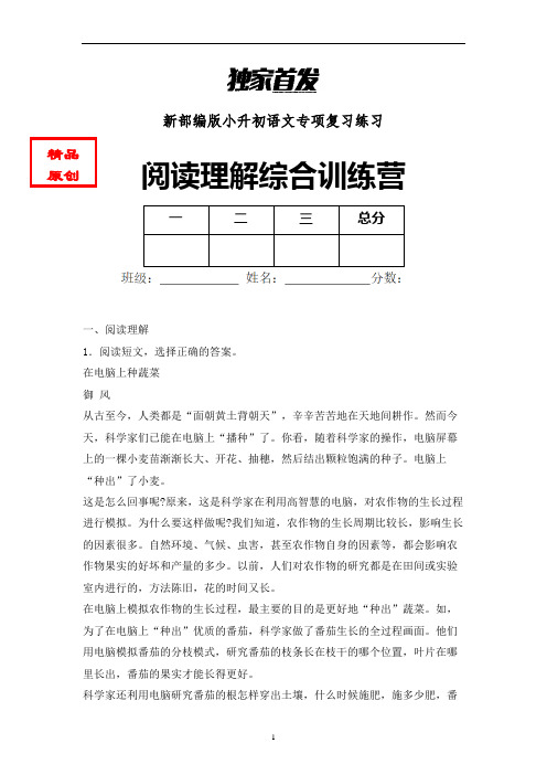 【课外阅读】小升初语文课外阅读专题试题 (3)