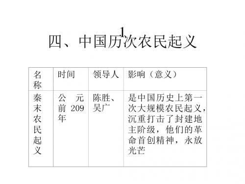 中国古代农民起义