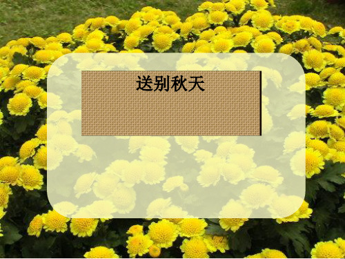 最新二年级道德与法治上册3.4送别秋天2浙教版优选教学课件