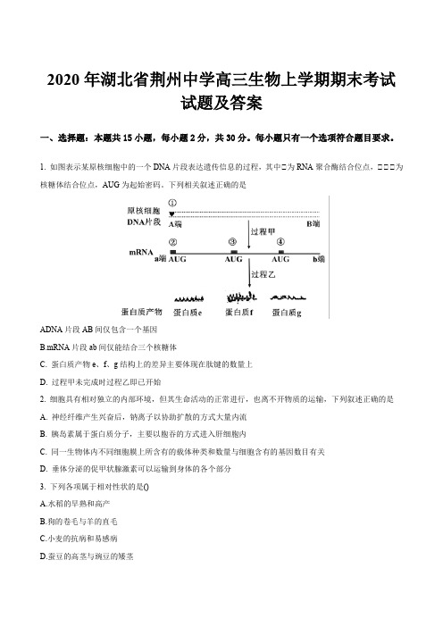 2020年湖北省荆州中学高三生物上学期期末考试试题及答案