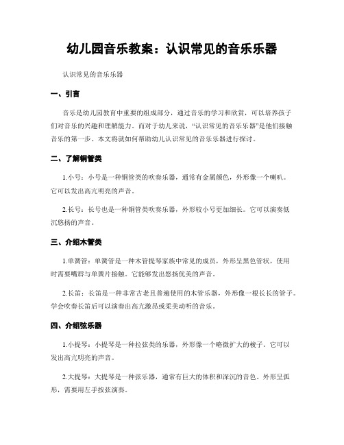 幼儿园音乐教案：认识常见的音乐乐器