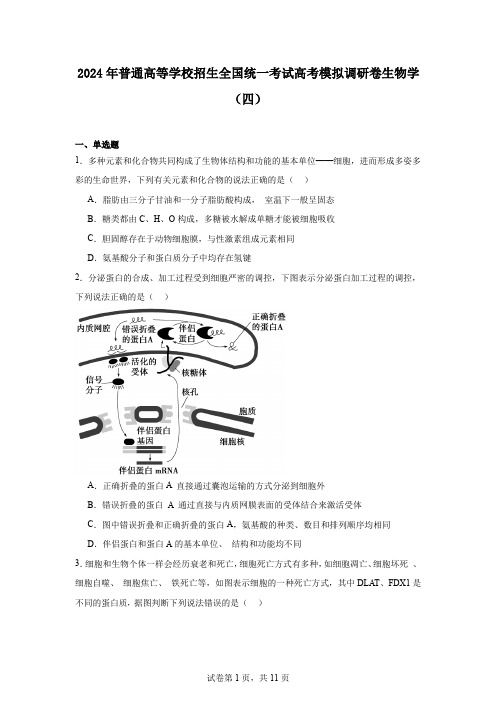 2024年普通高等学校招生全国统一考试高考模拟调研卷生物学(四)