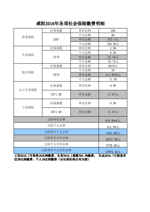 咸阳2016年各项社会保险缴费明细