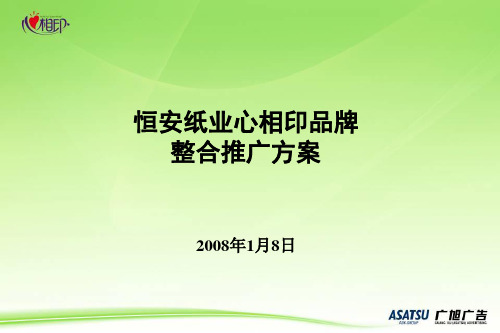 心相印品牌推广方案(ppt 203页)