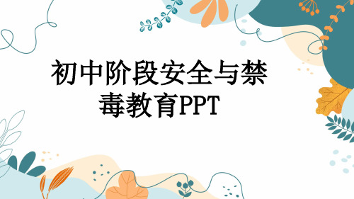 初中阶段安全与禁毒教育PPT