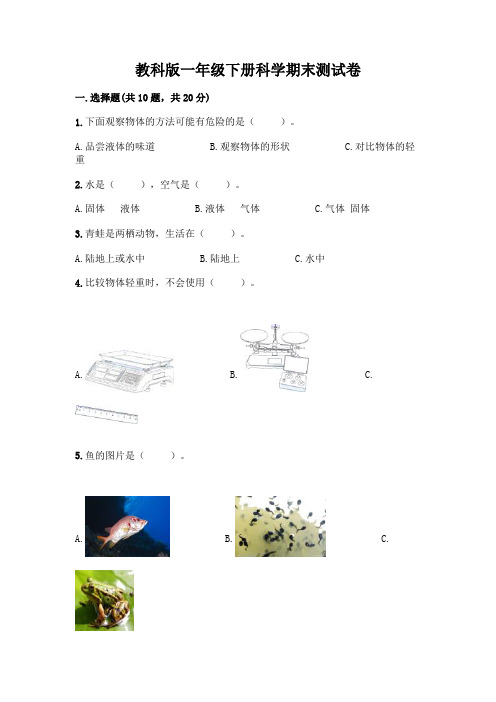 教科版一年级下册科学期末测试卷含答案(完整版)